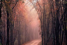 世界杯亚洲区外围赛:伊朗以2比0击败阿联酋.