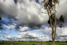 关注度高，记者：目前中澳之战现场记者已超过百名.