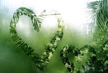 关注度高,记者:目前中澳之战现场记者已超过百名.