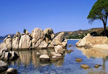 问鼎娱乐官网：亚冬会：宁忠岩夺得速度滑冰男子1000米金牌.